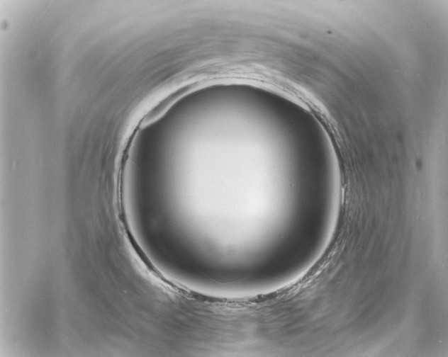 X0000060811528200511141453