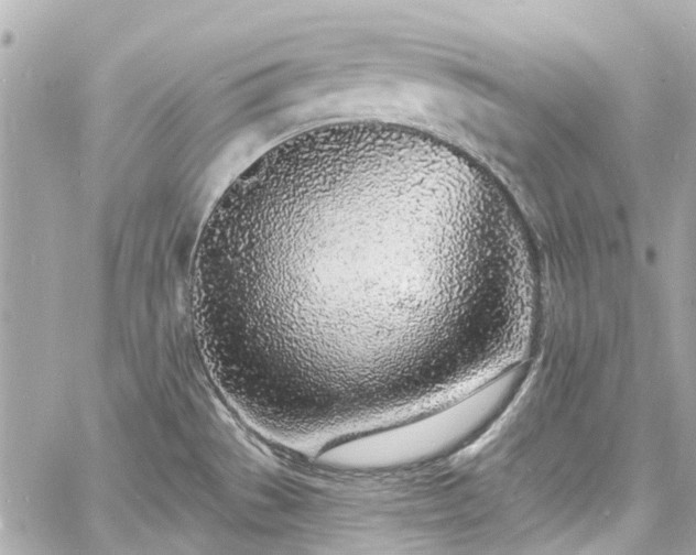 X0000060811529200511141453