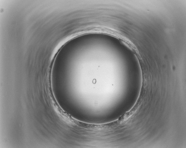 X0000060811530200511141453