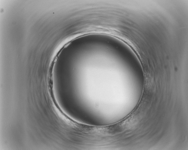 X0000060811531200511141453