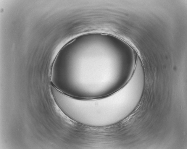 X0000060811532200511141453