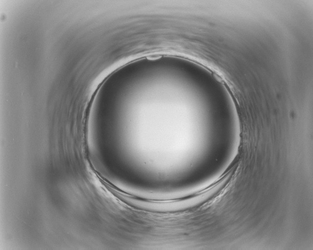 X0000060811534200511141453