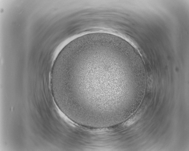 X0000060811535200511141453