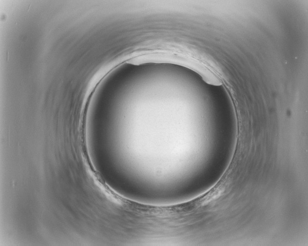 X0000060811536200511141453