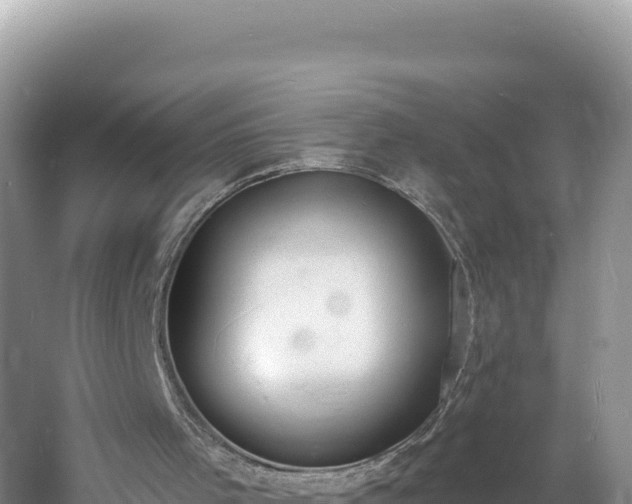 X0000060810001200511171321