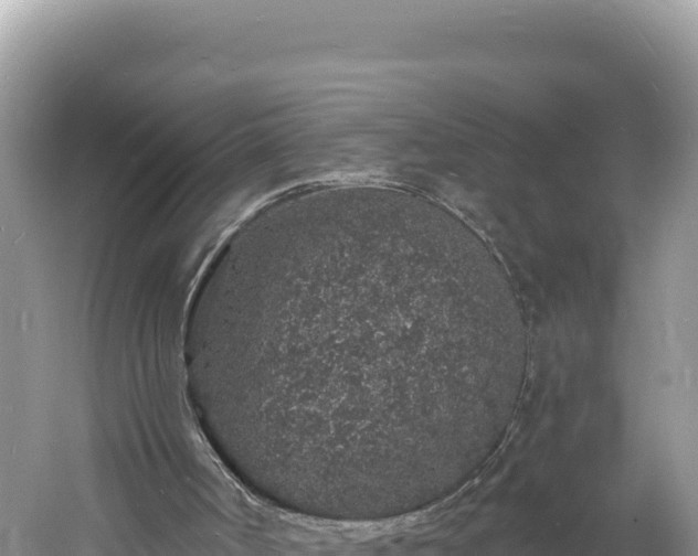 X0000060810002200511171321