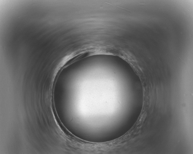 X0000060810003200511171321