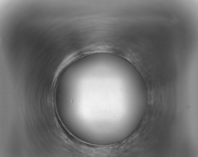 X0000060810004200511171321