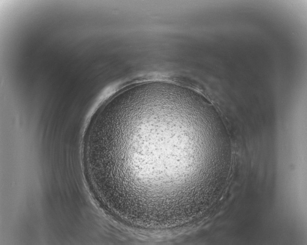 X0000060810006200511171321