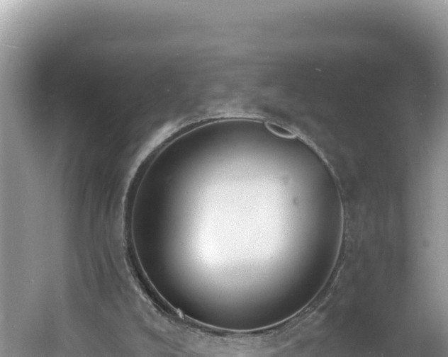 X0000060810008200511171321