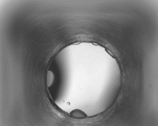 X0000060810009200511171321