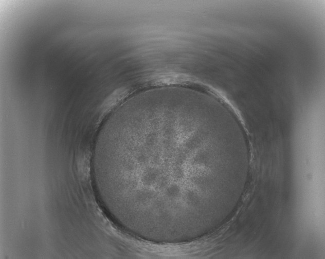 X0000060810010200511171321