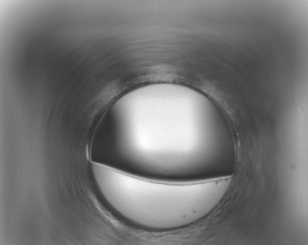 X0000060810013200511171321