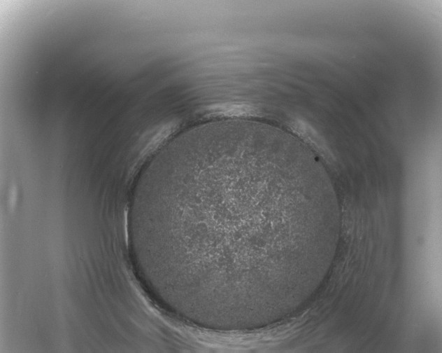 X0000060810014200511171321