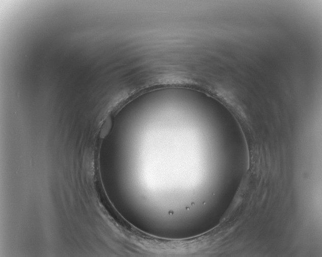 X0000060810015200511171320