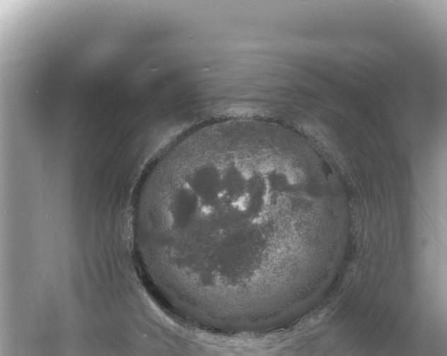 X0000060810016200511171320