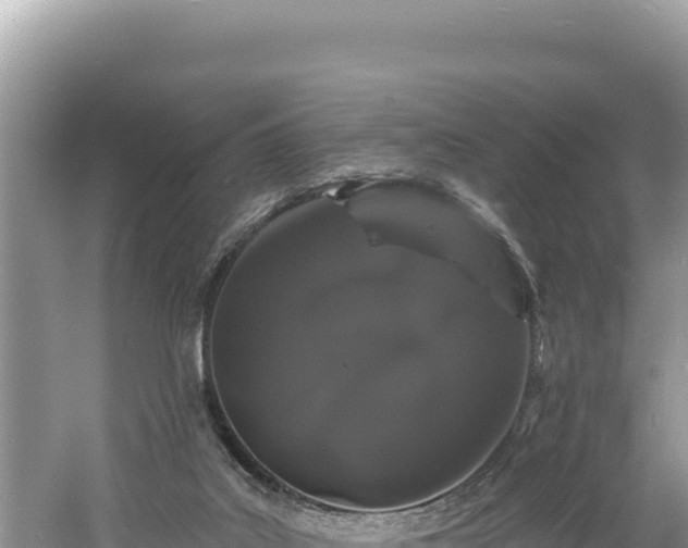 X0000060810019200511171320