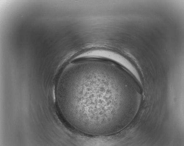 X0000060810020200511171320