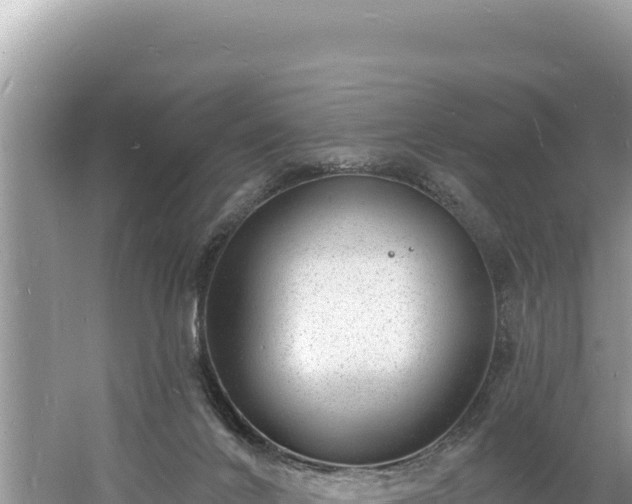 X0000060810024200511171320