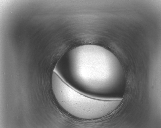 X0000060810025200511171320