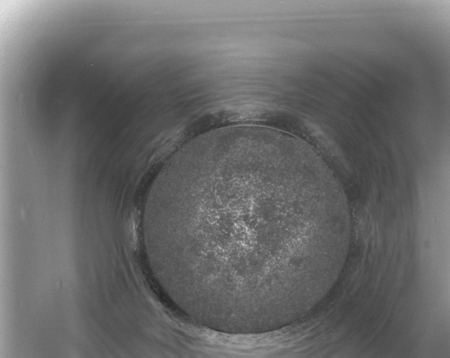 X0000060810026200511171320