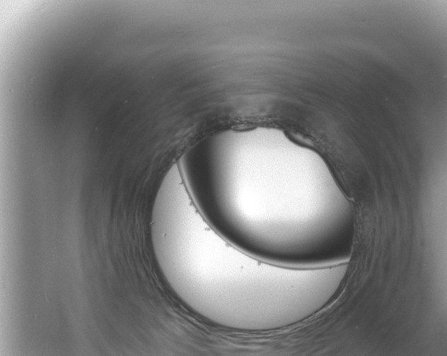 X0000060810033200511171320