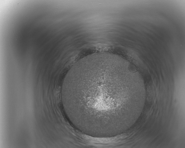 X0000060810034200511171320