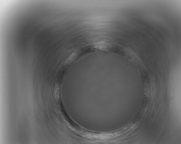 X0000060810036200511171320