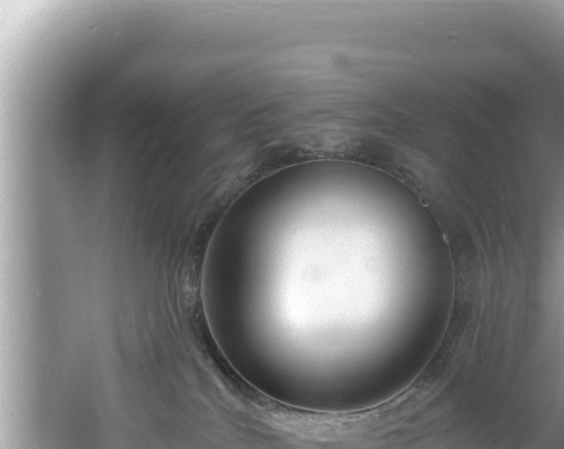 X0000060810040200511171320