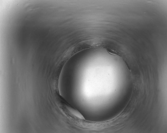 X0000060810044200511171320