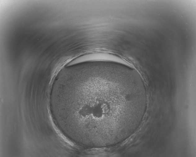 X0000060810049200511171319