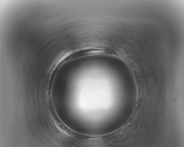 X0000060810050200511171319