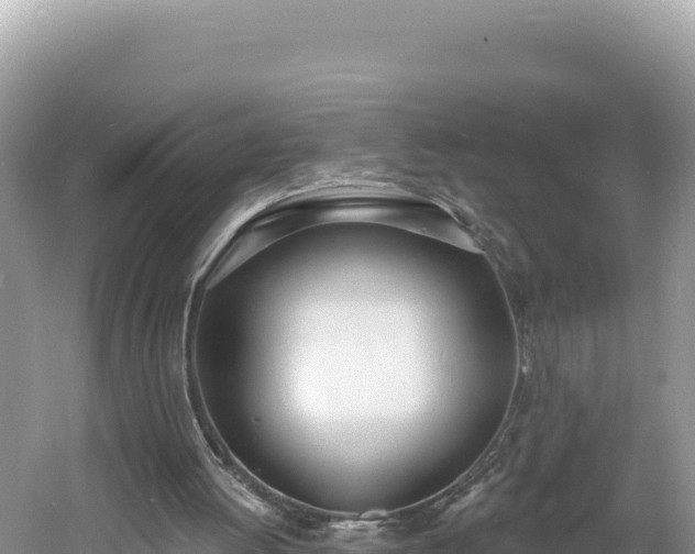 X0000060810052200511171319