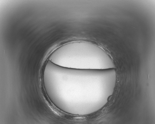 X0000060810053200511171319