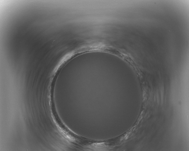 X0000060810054200511171319