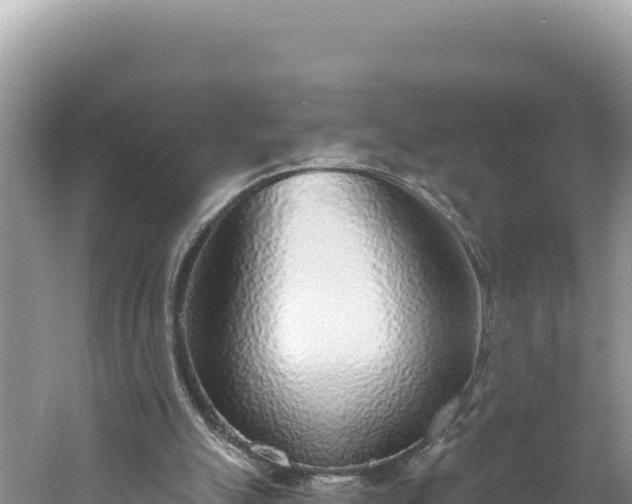 X0000060810055200511171319