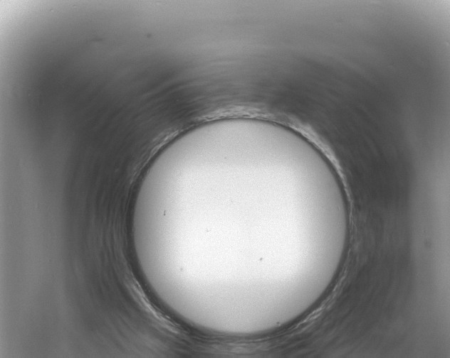 X0000060810057200511171319