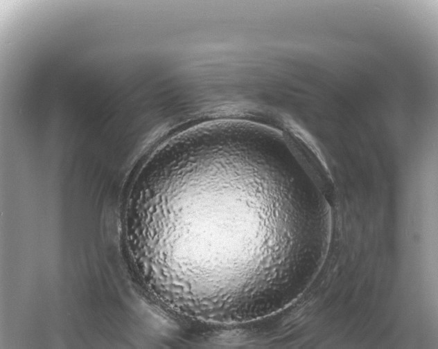 X0000060810059200511171319