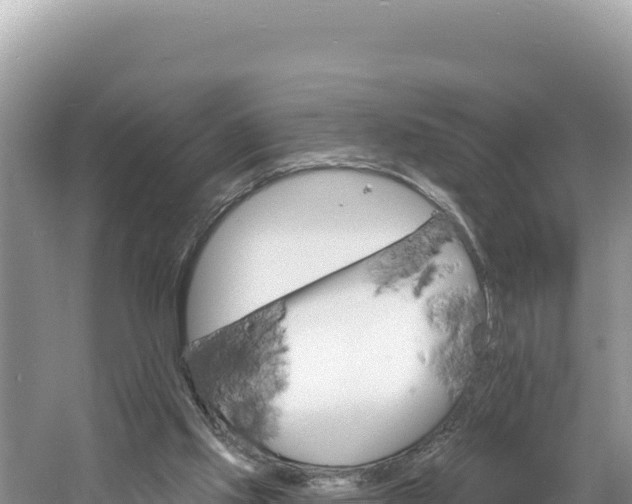 X0000060810061200511171319