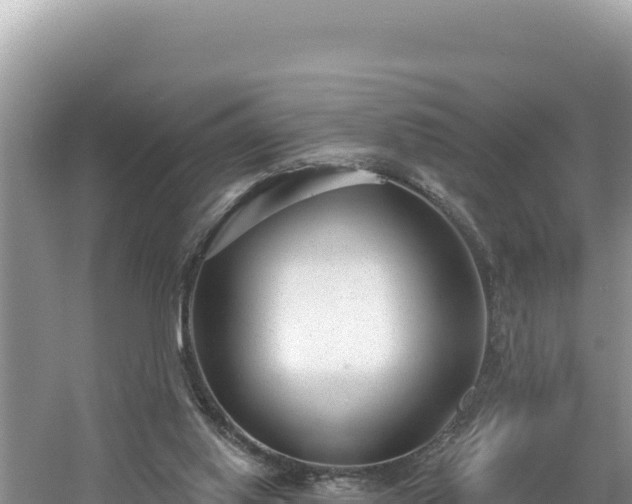 X0000060810062200511171319