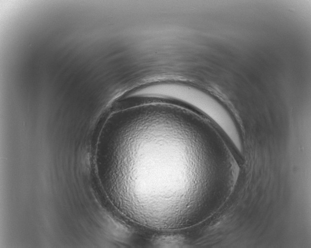 X0000060810063200511171319