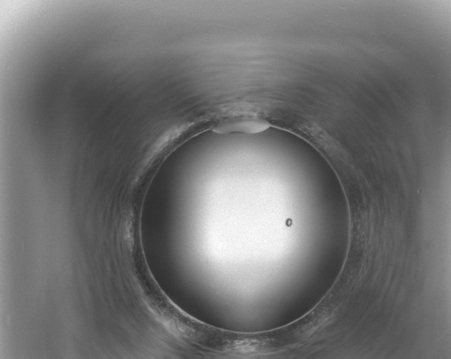 X0000060810064200511171319