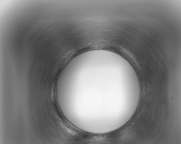 X0000060810065200511171319