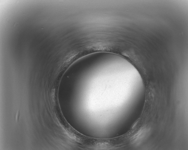 X0000060810066200511171319