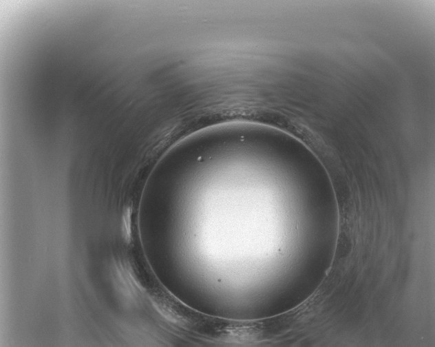 X0000060810070200511171319