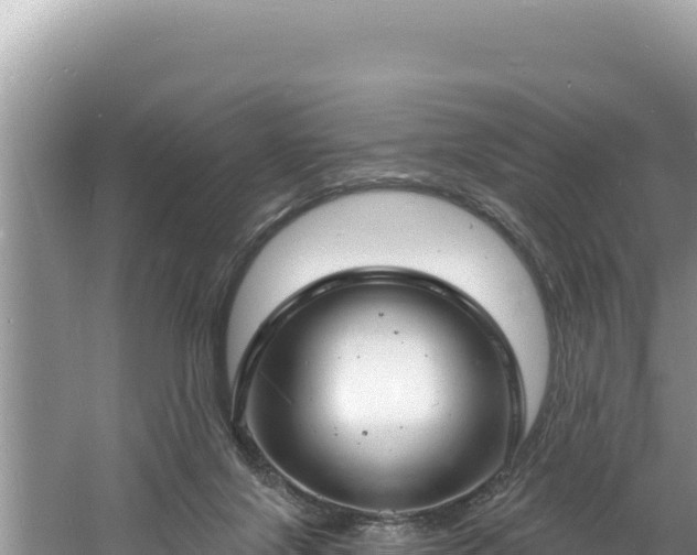 X0000060810071200511171319