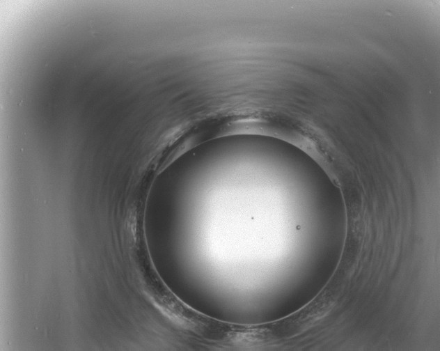 X0000060810072200511171319