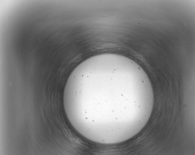 X0000060810073200511171319