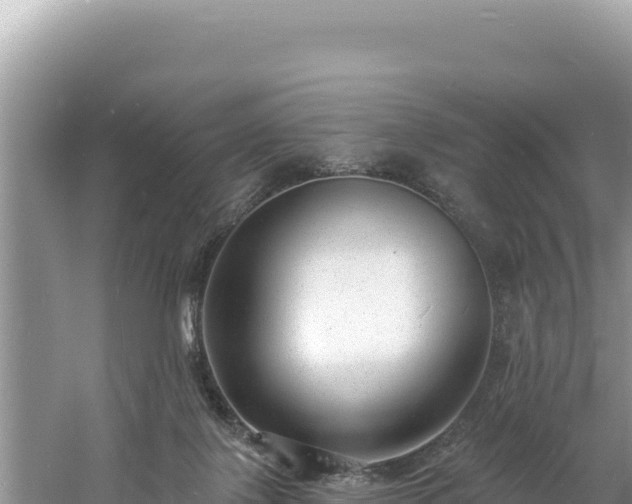 X0000060810075200511171319