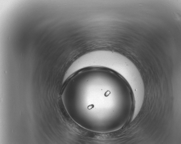 X0000060810079200511171320